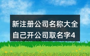 新注冊公司名稱大全,自己開公司取名字433個