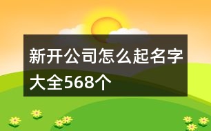 新開公司怎么起名字大全568個