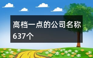 高檔一點的公司名稱637個