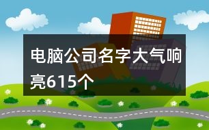 電腦公司名字大氣響亮615個