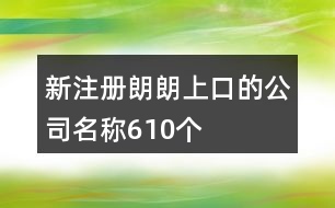 新注冊(cè)朗朗上口的公司名稱610個(gè)