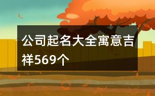 公司起名大全寓意吉祥569個