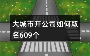 大城市開公司如何取名609個