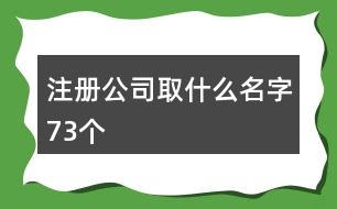 注冊公司取什么名字73個