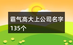 霸氣高大上公司名字135個(gè)