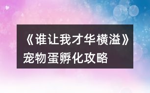 《誰讓我才華橫溢》寵物蛋孵化攻略