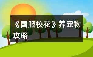 《國(guó)服?；ā佛B(yǎng)寵物攻略