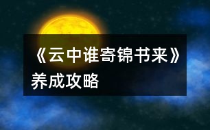 《云中誰寄錦書來》養(yǎng)成攻略