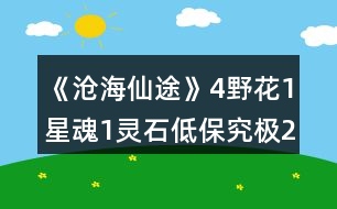 《滄海仙途》4野花1星魂1靈石低保究極22年攻略