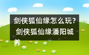 劍俠狐仙緣怎么玩？ 劍俠狐仙緣潘陽城養(yǎng)成攻略