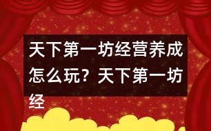 天下第一坊經(jīng)營養(yǎng)成怎么玩？天下第一坊經(jīng)營養(yǎng)成攻略