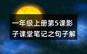 一年級上冊第5課影子課堂筆記之句子解析