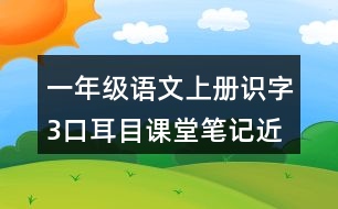 一年級(jí)語(yǔ)文上冊(cè)識(shí)字3口耳目課堂筆記近義詞反義詞