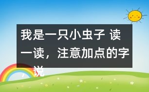 我是一只小蟲子 讀一讀，注意加點(diǎn)的字，說(shuō)說(shuō)你的發(fā)現(xiàn)