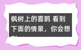 楓樹上的喜鵲 看到下面的情景，你會想到什么?試著寫下來。