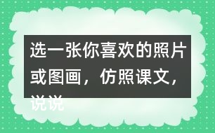 選一張你喜歡的照片或圖畫，仿照課文，說說上面都有什么。