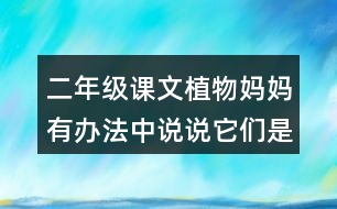 二年級課文植物媽媽有辦法中說說它們是怎么傳播種子的。