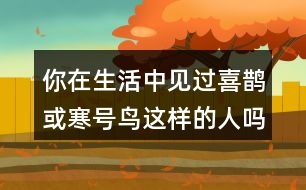 你在生活中見過喜鵲或寒號鳥這樣的人嗎?說說他的小故事。