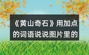 《黃山奇石》用加點(diǎn)的詞語(yǔ)說(shuō)說(shuō)圖片里的石頭，再選一張圖片寫(xiě)下來(lái)。