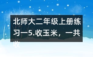 北師大二年級(jí)上冊(cè)練習(xí)一5.收玉米，一共收了多少根玉米。