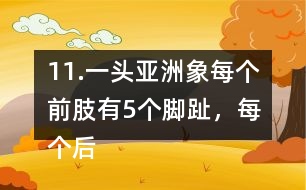 11.一頭亞洲象每個(gè)前肢有5個(gè)腳趾，每個(gè)后肢有4個(gè)腳趾，這頭亞洲象一共有多少個(gè)腳趾?