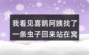 我看見喜鵲阿姨找了一條蟲子回來站在窩邊，猜猜喜鵲弟弟會說什么？