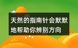 天然的指南針會(huì)默默地幫助你辨別方向