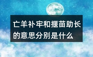 亡羊補(bǔ)牢和揠苗助長的意思分別是什么