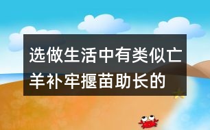 選做,生活中有類似亡羊補(bǔ)牢,揠苗助長的事例嗎?寫一寫