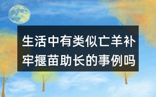 生活中有類似亡羊補(bǔ)牢揠苗助長(zhǎng)的事例嗎說一說。