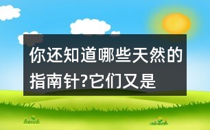 你還知道哪些,天然的指南針,?它們又是怎樣幫助人們辨別方向的?向同學(xué)介紹一下