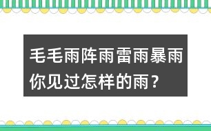 毛毛雨,陣雨,雷雨,暴雨你見過怎樣的雨？當時的情景？