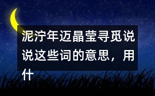 泥濘年邁晶瑩尋覓說說這些詞的意思，用什么方法知道的