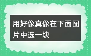 用“好像”“真像”在下面圖片中選一塊石頭寫下來