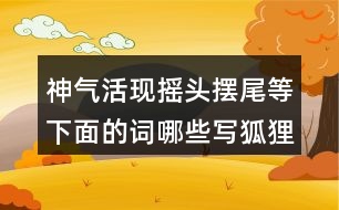 神氣活現(xiàn)搖頭擺尾等下面的詞哪些寫狐貍，哪些寫老虎的