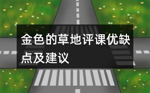 金色的草地評課優(yōu)缺點及建議