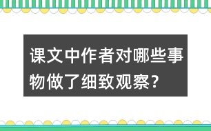 課文中作者對哪些事物做了細致觀察？