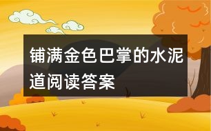 鋪滿金色巴掌的水泥道閱讀答案