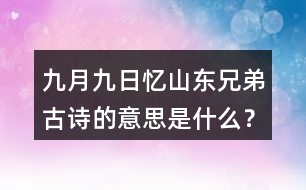 九月九日憶山東兄弟古詩(shī)的意思是什么？