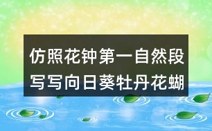 仿照花鐘第一自然段寫寫向日葵牡丹花蝴蝶蘭