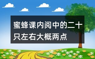 蜜蜂課內(nèi)閱中的二十只左右、大概、兩點(diǎn)四十分等詞中,你體會(huì)到了什么?