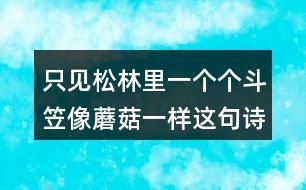 只見松林里一個個斗笠像蘑菇一樣這句詩的意思是什么？