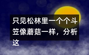 只見松林里一個個斗笠像蘑菇一樣，分析這句話是什么意思