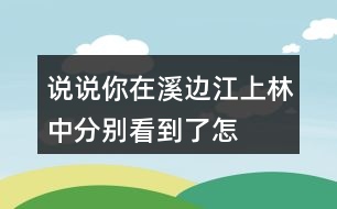 說說你在溪邊、江上、林中分別看到了怎樣的畫面,任選其中一個寫下來