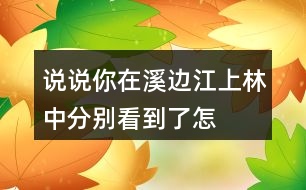 說說你在溪邊、江上、林中分別看到了怎樣的畫面。