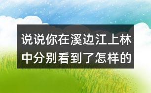 說說你在溪邊江上林中分別看到了怎樣的畫面