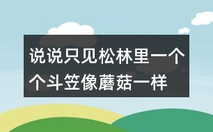 說說“只見松林里一個(gè)個(gè)斗笠像蘑菇一樣”的意思,你看到了什么畫面?