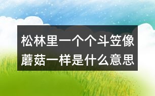 松林里一個(gè)個(gè)斗笠像蘑菇一樣是什么意思