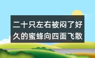 二十只左右被悶了好久的蜜蜂向四面飛散 二十只左右什么意思