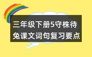 三年級(jí)下冊(cè)5守株待兔課文詞句復(fù)習(xí)要點(diǎn)筆記